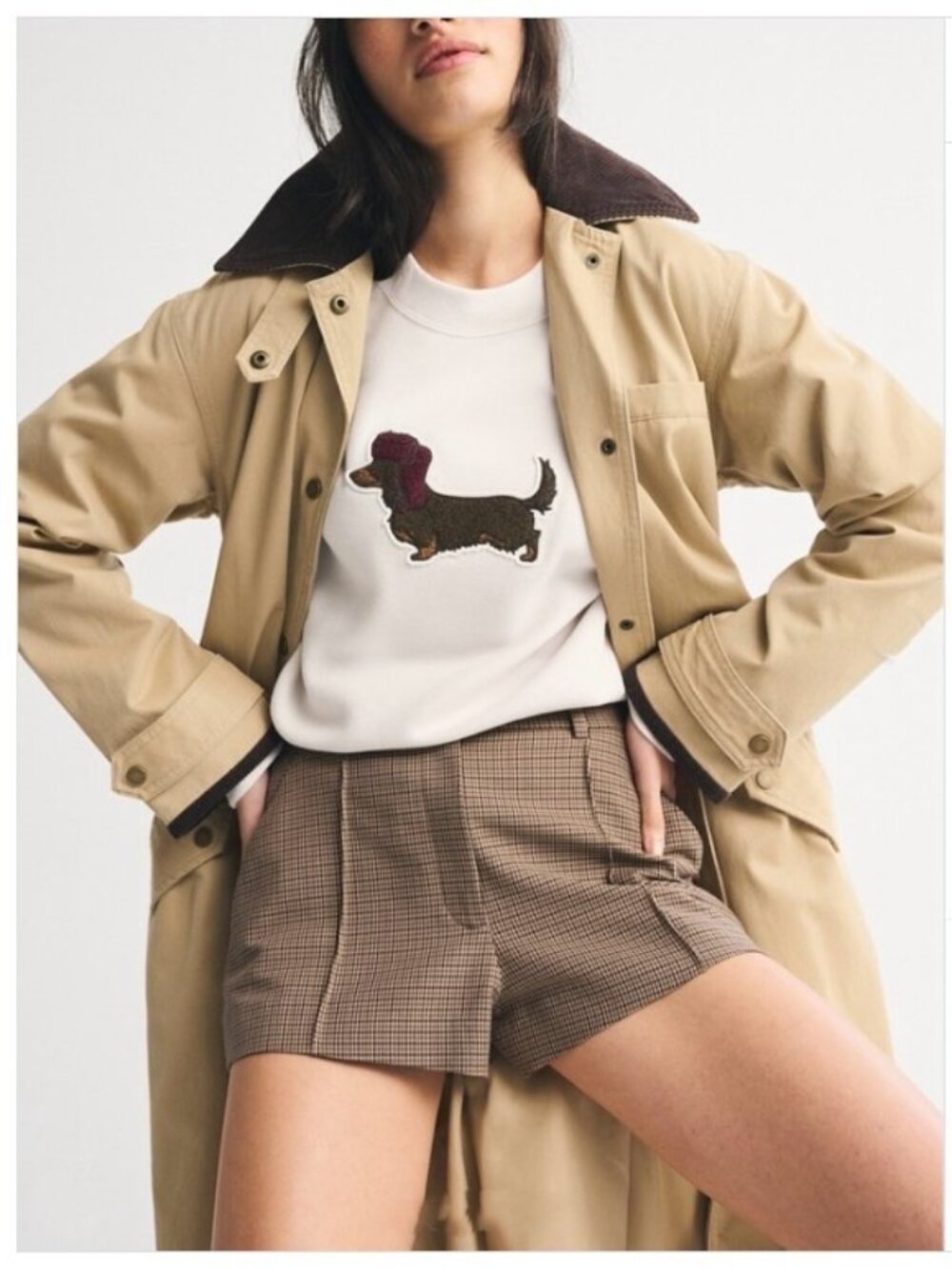 Abercrombie & Fitch Cream Sweatshirt with Dachshund Motif, XXS
